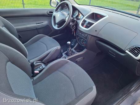 Peugeot 206 plus Benzyna 1.  4 8V 2009