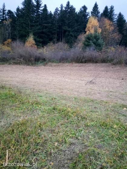 Mulczer mulczerowanie wycinka