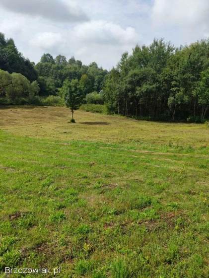 Działka 33 ary -  Orzechówka