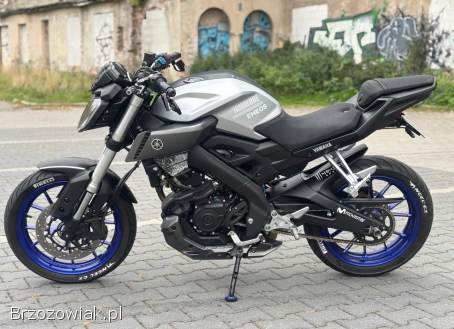 Yamaha MT 2015
