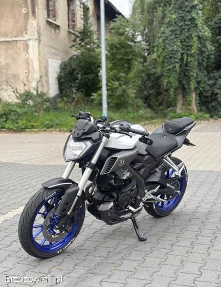 Yamaha MT 2015