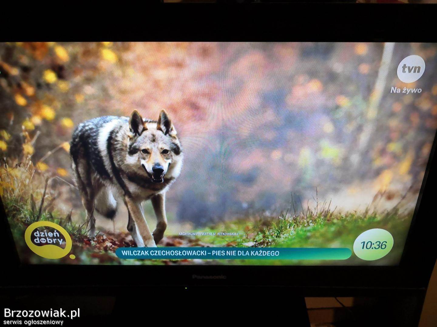 Sprzedam telewizor LCD