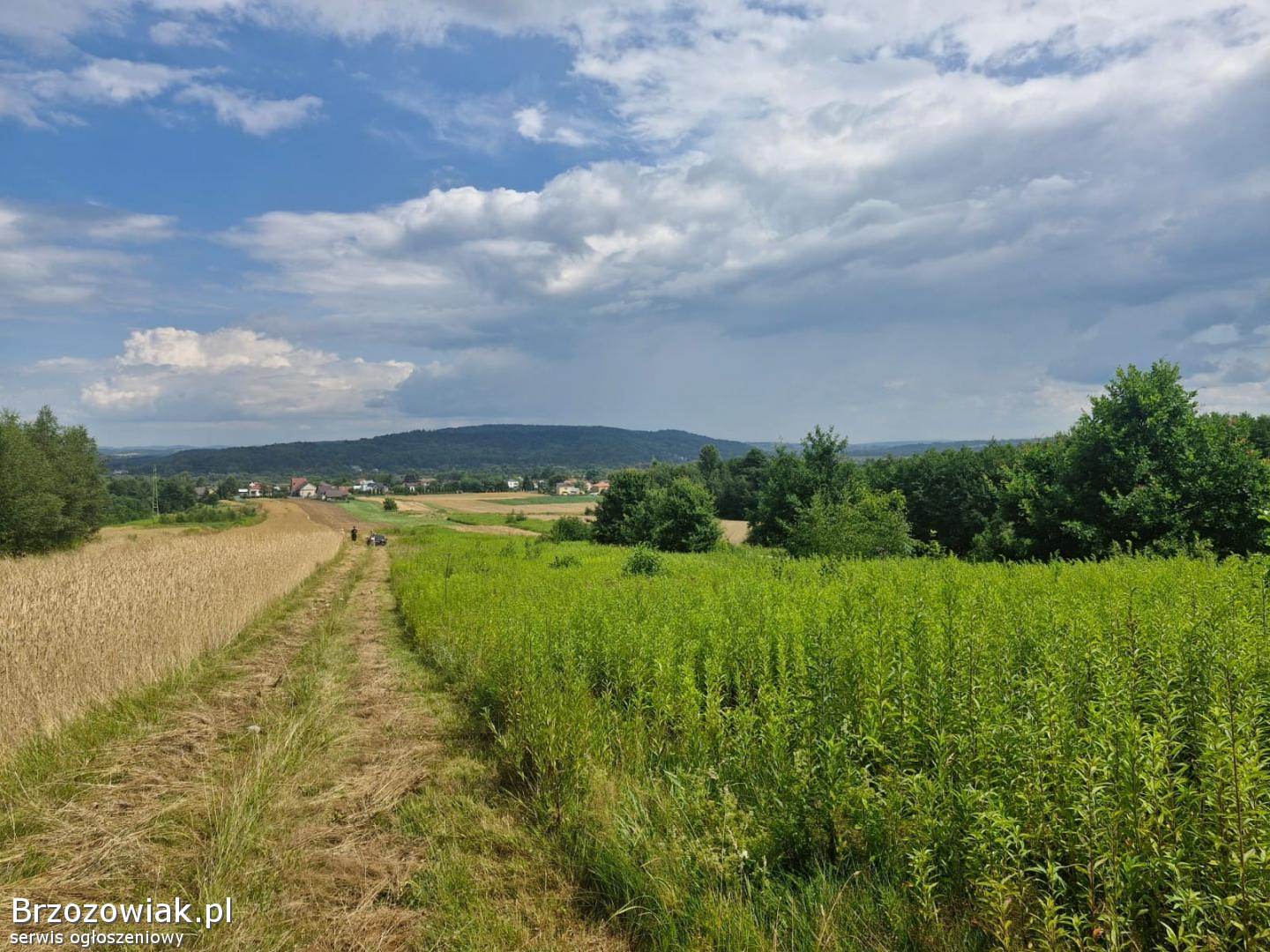 Na sprzedaż działka rolna z pięknymi widokami we Wróblowej