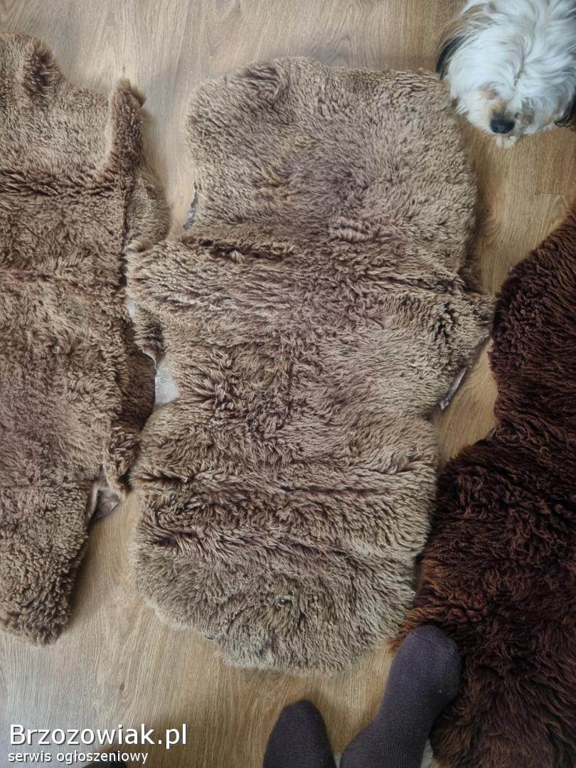 Skóry baranie 6 szyk