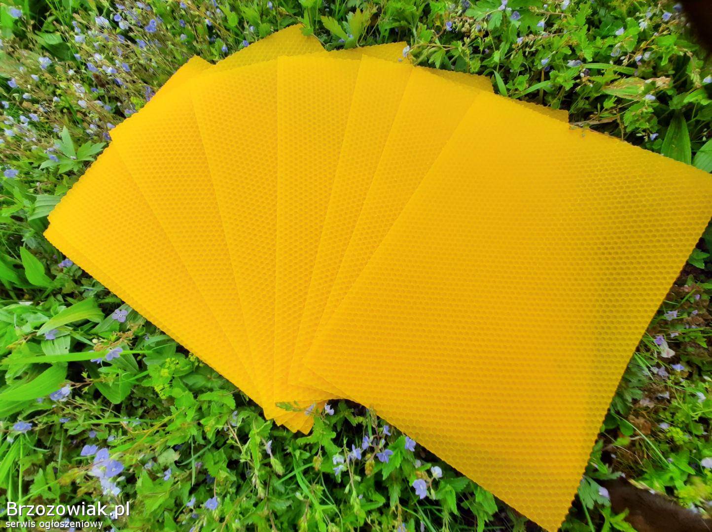 Przerób wosku na węzę,  węza pszczela.