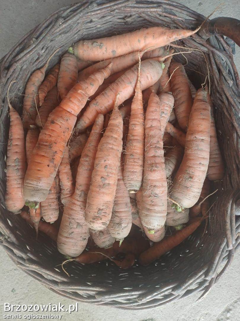 Sprzedam ziemniaki paszowe,  Dynów,  0,  50zł/kg