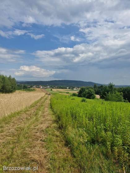Na sprzedaż działka rolna z pięknymi widokami we Wróblowej