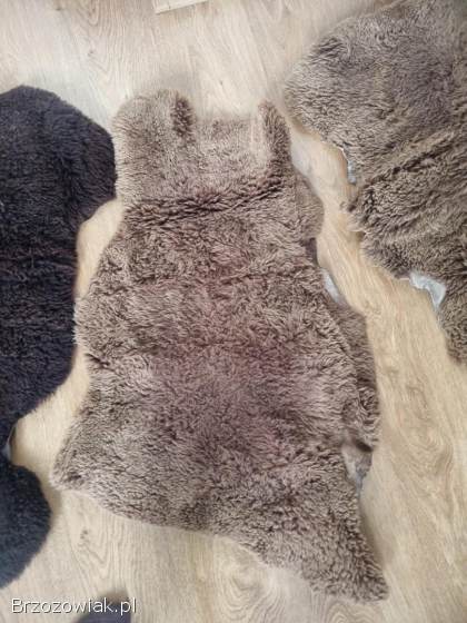 Skóry baranie 6 szyk