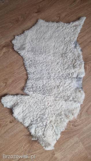 Skóry baranie 6 szyk