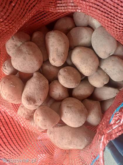 Sprzedam ziemniaki paszowe,  Dynów,  0,  50zł/kg