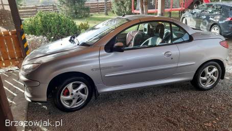 Peugeot 206 CC Quiksilver 2005
