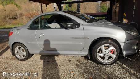 Peugeot 206 CC Quiksilver 2005