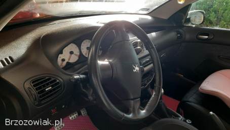 Peugeot 206 CC Quiksilver 2005