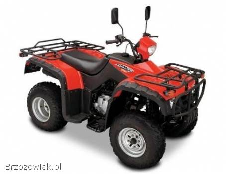 Plastik tył czerwony ATV Bashan BS250S-5