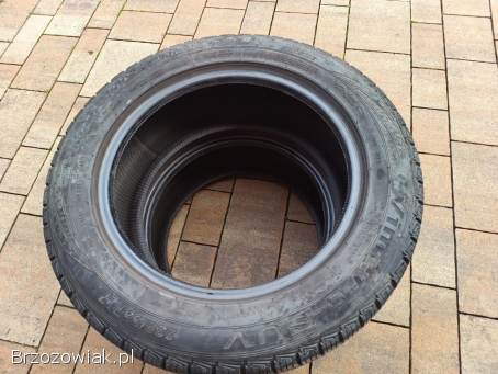 Opony całoroczne SUV 235/55 R17 99V