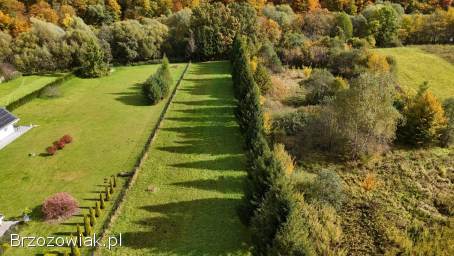 DZIAŁKA NAD SANEM -  ŁĄCZKI