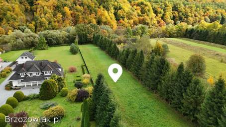 DZIAŁKA NAD SANEM -  ŁĄCZKI