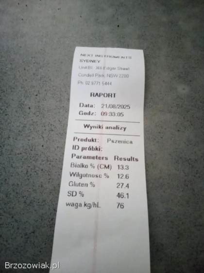 Sprzedam ładna pszenicę