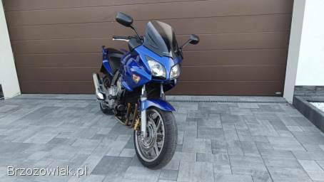 Honda CBF CBF1000ABS 2006