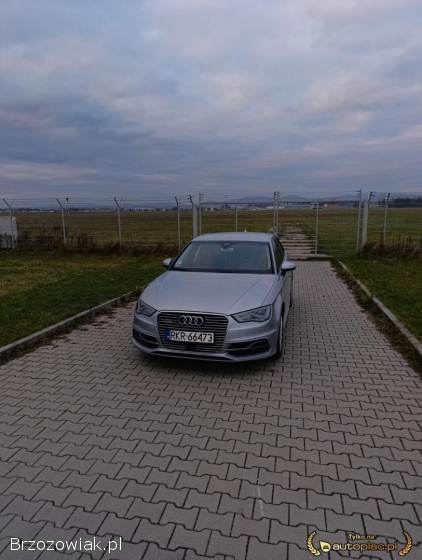 Audi A3 8V 2016