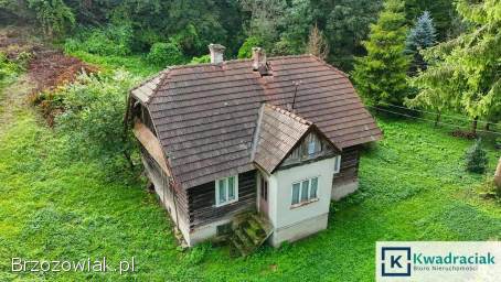 Węglówka – dom na 1,  54ha działce