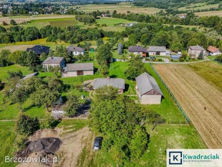 Kopytowa – drewniany dom na pięknej działce