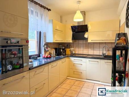 Żeglce – drewniany dom na ogromnej działce 1,  54ha