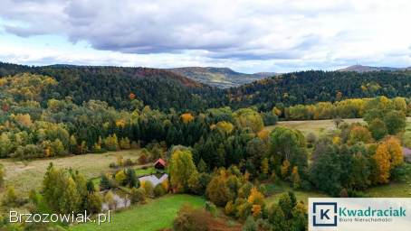 Bratkówka gm.  Wojaszówka – działka 23ar z pięknym widokiem