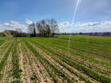 Działka budowlano-rekreacyjna Blizne