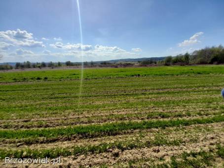 Działka budowlano-rekreacyjna Blizne
