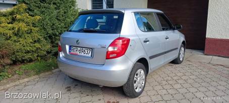 Škoda Fabia Ambient  2010