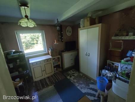 Klimatyczny dom z bala niedaleko lasu,  drzewa na działce Bóbrka ranczo