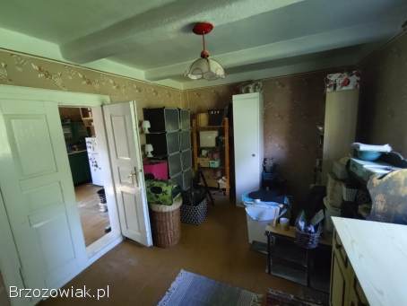 Klimatyczny dom z bala niedaleko lasu,  drzewa na działce Bóbrka ranczo