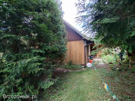 Klimatyczny dom z bala niedaleko lasu,  drzewa na działce Bóbrka ranczo