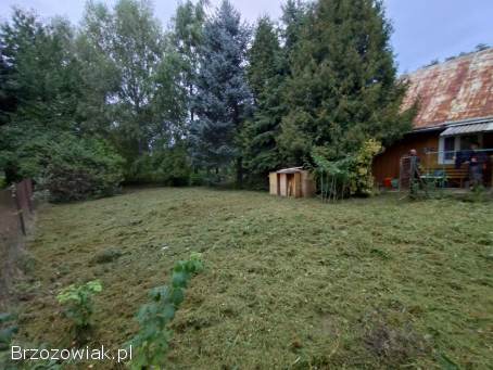 Klimatyczny dom z bala niedaleko lasu,  drzewa na działce Bóbrka ranczo