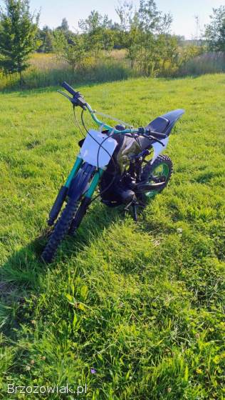 Loncin Chińczyk  2020