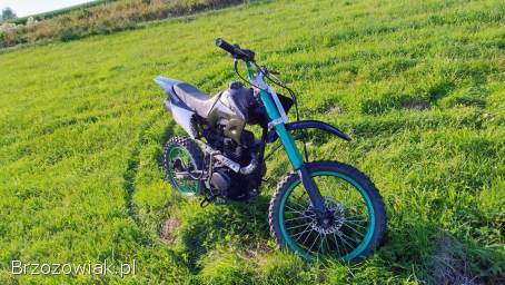 Loncin Chińczyk  2020