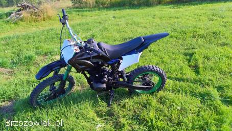 Loncin Chińczyk  2020