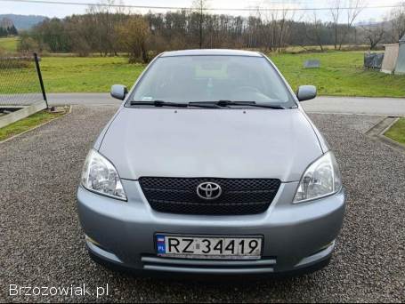 Toyota Corolla Terra 2003