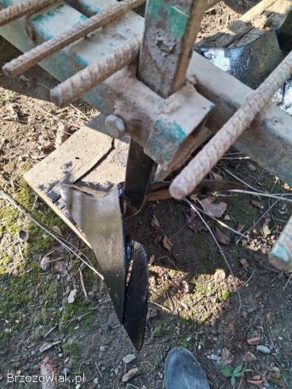 Sadzarka do ziemniaków