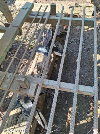 Sadzarka do ziemniaków