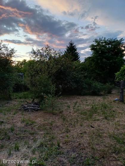 Działka ROD Krosno Palanka