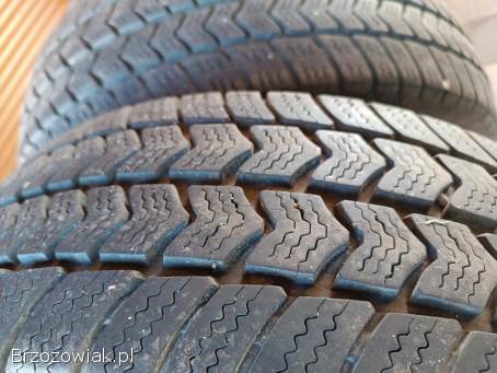 Opony wielosezonowe Semperit 195/65 r 16 C
