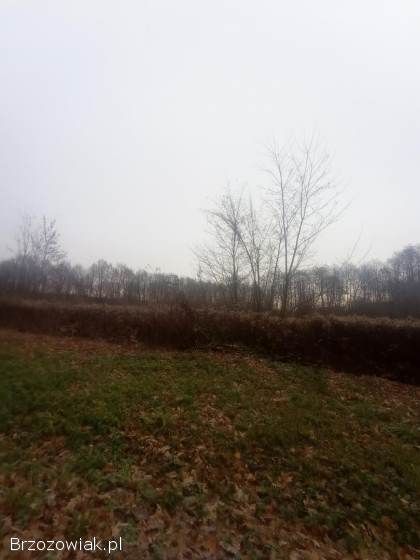 Czyszczenie działek i placów