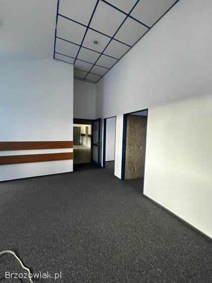 Do wynajęcia biuro – 100 m² + miejsca parkingowe GRATIS!