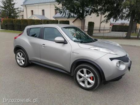 Nissan Juke 2010