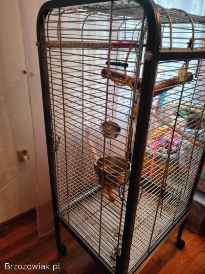 Sprzedam klatkę na papugi