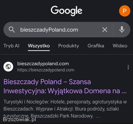 Domena na sprzedaż!  – www.  biszczadypoland.  com
