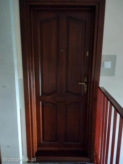 Drzwi drewniane,  kompletne z ościeżnicą