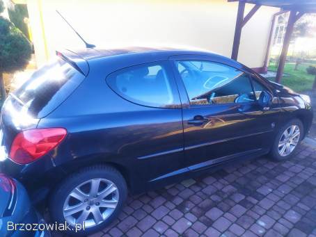 Peugeot 207 64 2009